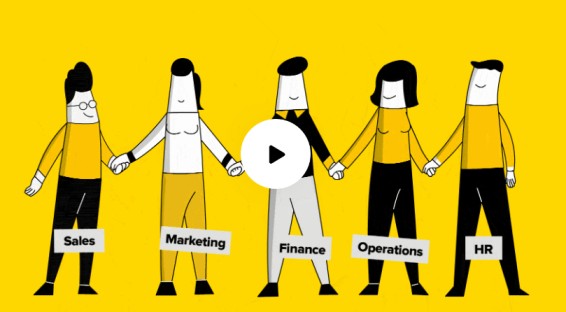 Zoho software Nigeria